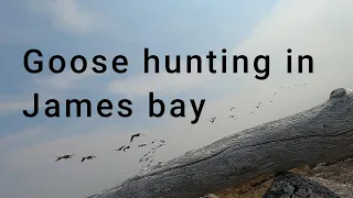 Goose hunt in james bay