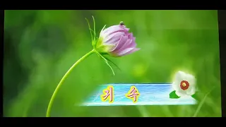 귀속말　内緒話　조선가요　Ｃｏｖｅｒ