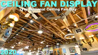 Ceiling Fan Display 2020 | #NCFD