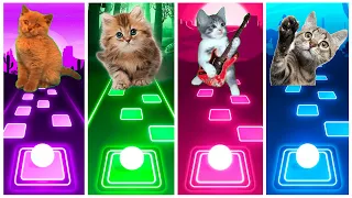 Cute Cats - Lady Gaga Bloody Mary Shakira Waka Waka BTS (Savage Love & Fake Love) Tiles Hop EDM Rush