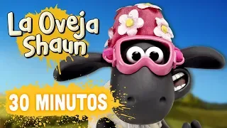 Compilación Temporada 5 (episodios 16-20) - La Oveja Shaun