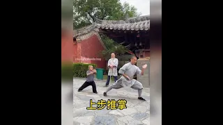 Kung Fu.shaolin.boy 🙏 San bao is practicing Shaolin xiao Hong quan with shifu.