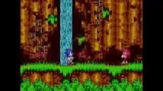 Sonic The Hedgehog 3 on the SEGA Genesis/MegaDrive