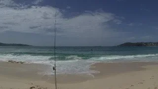 Beach fishing - with beach worms & soft plastic worms