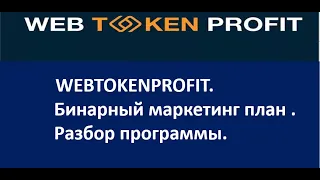 WEBTOKENPROFIT.  Бинарный маркетинг план . Разбор программы. Ольга Немировская.