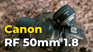 Canon RF 50mm f/1.8 STM Review | das Porträt-Objektiv für unter 200€