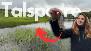 So fängst du! Spinnfischen an der Talsperre 🎣