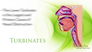 Radio-frequency Turbinate Reduction | Nasal Congestion & Nasal Blockage Treatment