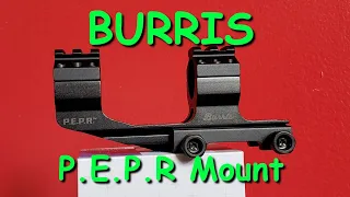 BURRIS P.E.P.R. Mount Review