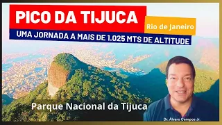 Documentário Parque Nacional da Tijuca - Floresta - Cachoeira - Trilha . Álvaro Campos Jr.