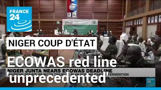 'Unprecedented situation': Surprise on a global scale as 'ECOWAS draws red line in the sand'