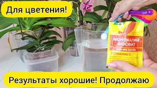 Для ЦВЕТЕНИЯ орхидей калий и фосфор || ПОЛИВ ОРХИДЕИ