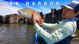 This Unique spot HOLDS FISH! Oak Harbor - Mayport