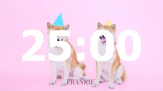 25 minute timer but with dogs