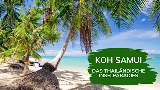 Warum du deinen nächsten Urlaub auf Koh Samui verbringen solltest! 🫶🏻