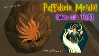 MERULA, WHAT DID I TELL YOU!?🤦‍♀️ Welcome to the Sphinx Club || Harry Potter Hogwarts Mystery TLSQ