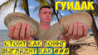 Дорогущий гуидак оно того стоит???