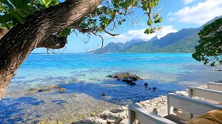 Magical Mountain View of Moorea