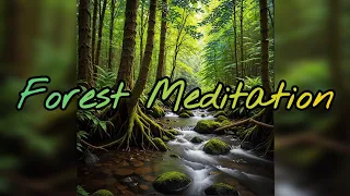 Forest Meditation 🙏 #MeditationMusic