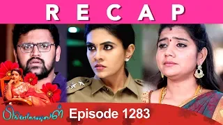 RECAP : Priyamanaval Episode 1283, 03/04/19