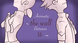 The Wall Between Us / Ce mur qui nous sépare - Miraculous Animatic ( French Dub )