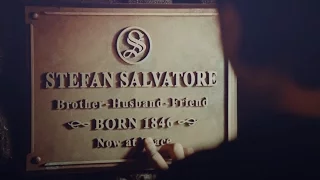 Stefan Salvatore | "Goodbye brother" [8x16]