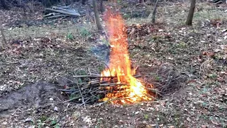 Orchard Design 3 - Biochar Processing in Cone Pit Trench Method