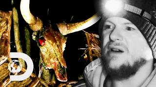 The Hunters Find A Mysterious Wall With Huge Wings And A Red-Eyed Skull | Mountain Monsters