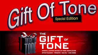 Sleazy Blues Rock Guitar Solo | Fractal Audio Gift Of Tone Special