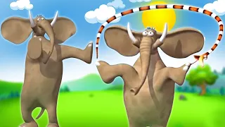 Gazoon - Sesi Aerobik! | Kartun Hewan Lucu Untuk Anak-Anak | ToBo Kids TV Bahasa