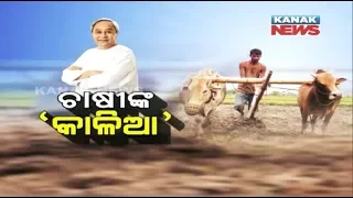 Janata Darbaar: Odisha Govt Announce "KALIA" Scheme To Provide Financial Aid To farmers