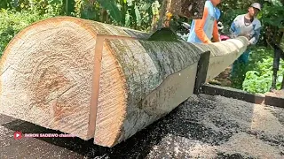 Mengiris kayu sengon dengan mudah pakai gergaji serkel rakitan