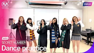 [MAX CLIP]Dance practice video selected by fans | SECRET NUMBER