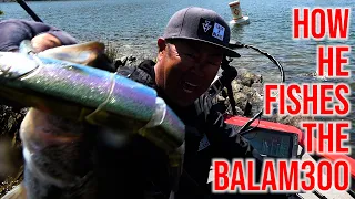 How To Catch Balam Fish Around Bluff walls,Rocks & Points KAZUYA SHIMADA [BALAM300]