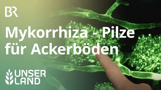 Mykorrhiza: Mit Pilzen den Boden verbessern | Unser Land | BR Fernsehen