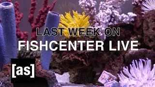 FishCenter Recap 1/9/17 | FishCenter | Adult Swim