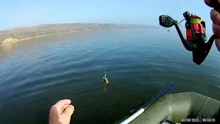 Рыбалка 2022 на Тилигульском лимане.