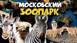 Прогулка по Московскому зоопарку