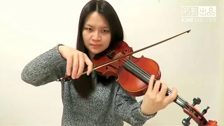 Everybody Knows - Sigrid - From Justice League Original Motion Picture Soundtrack(Violin Cover)