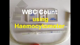 Total WBC count Practical Lab