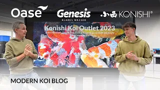 Modern Koi Blog #5812 -  Jetzt anmelden zu den Konishi Koi Outlets 2023