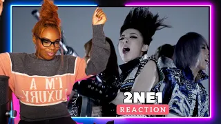 2NE1 Analysis + Discussion - Hello Bitches, It Hurts, I Am The Best, Missing You & Goodbye!