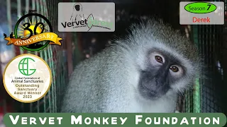 The Remarkable Recovery of Male Monkey Derek (Merensky)