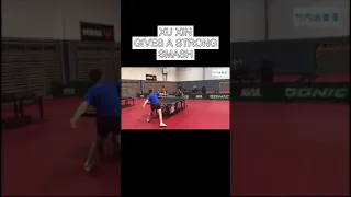 XU XIN GIVES A STRONG SMASH #pingpong #tabletennis #tabledetennis like & subscribe for more videos