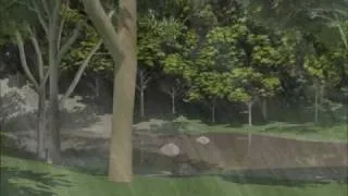 Debris Flow 3D Animation