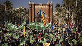 Thousands of Catalans protest against decision for more Spanish in schools