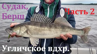 Угличское вдхр. Судак и берш. Часть 2