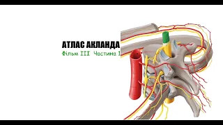 Відеоатлас Акланда. Фільм 3. Частина 1. Хребтовий стовп. Спинний мозок.