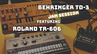 Behringer TD-3 / Roland TR-606 / Strymon El Capistan - Acid Jam Session