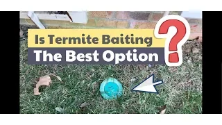 Is Termite Baiting the Best Option?